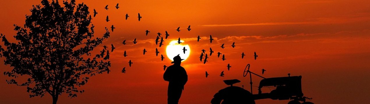 У Львівській області будуть навчати фермерів