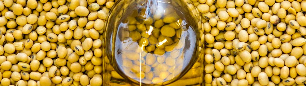 Єгипет закуповує олія