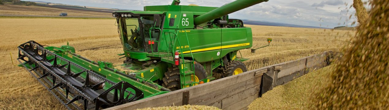 Прогноз світового виробництва пшениці невтішний