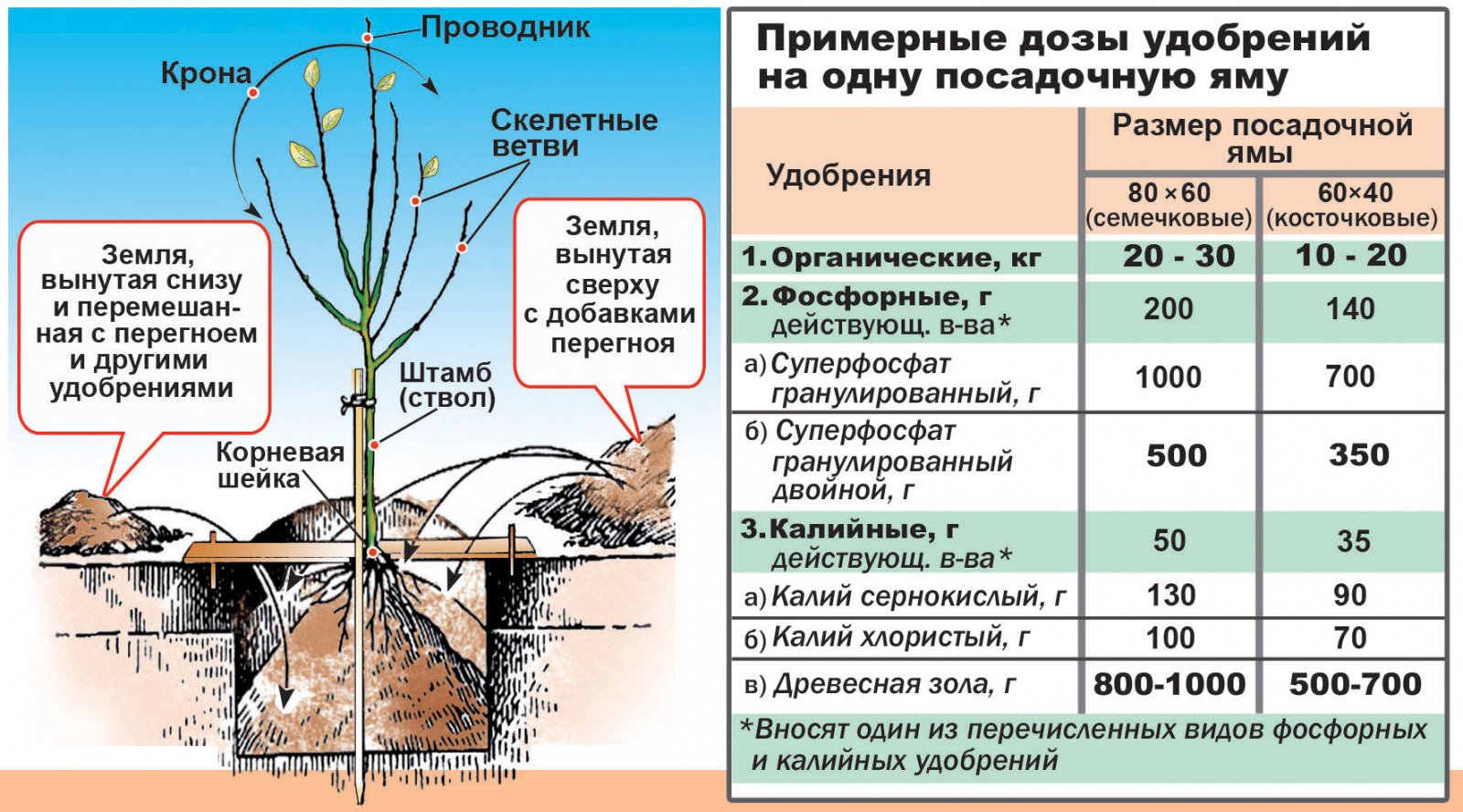 Схема внесения удобрений