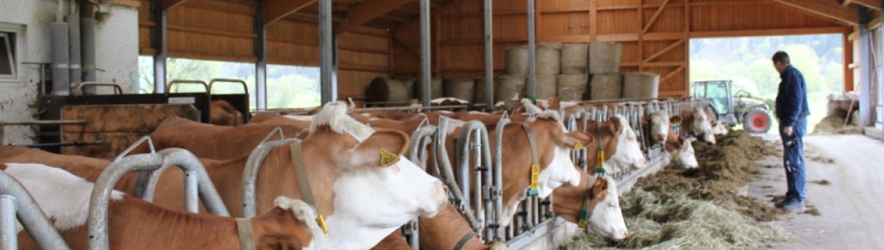 Комітет Європарламенту з навколишнього середовища виступив за скорочення субсидування інтенсивного сільгоспвиробництва