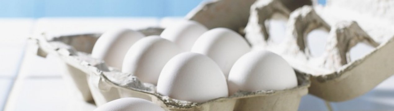 Україна планує експортувати в Ізраїль яловичину і яйця