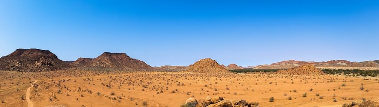 Африка — перспективний напрямок для експорту українських продуктів АПК