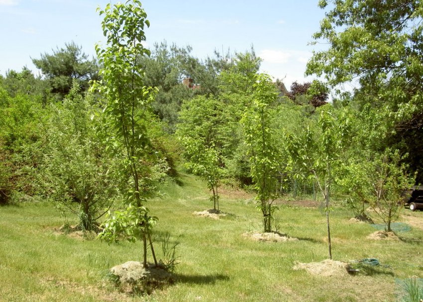 Вибір місця під посадку