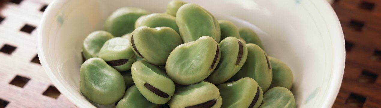 Компанія DowDuPont Inc. запускає чергову лінію трансгенних соєвих бобів