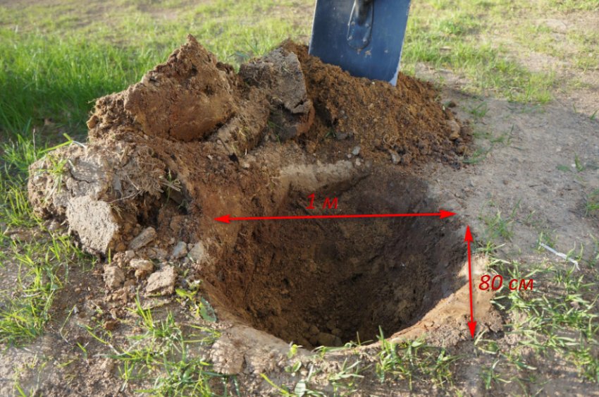 Посадкова яма для груші