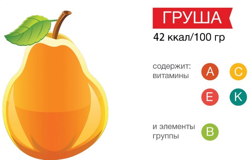 Калорійність і склад груші Калорійність і склад груші