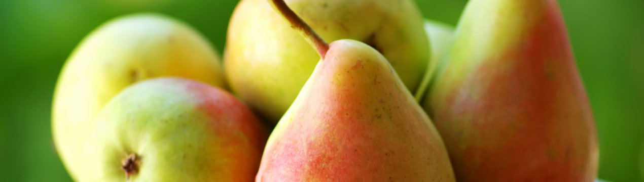 Особливості вживання груш при цукровому діабеті