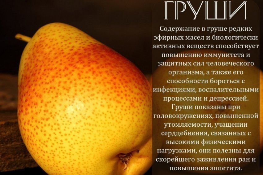 Корисні властивості груші