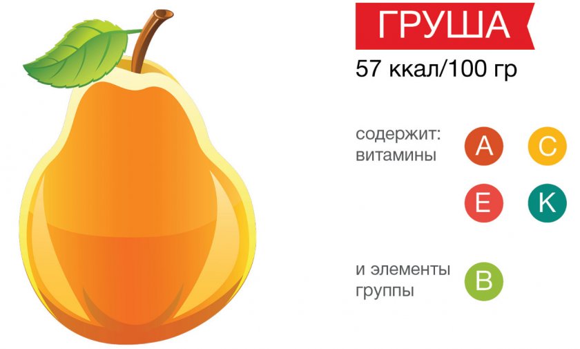 Витаминный состав груши Витаминный состав груши
