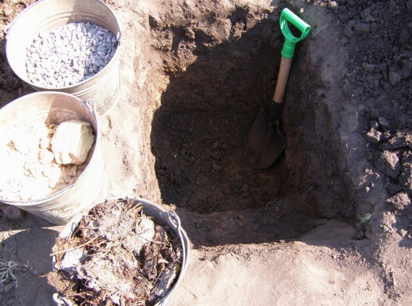 Підготовка посадкової ями