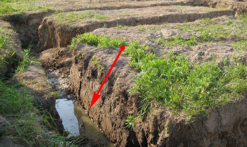 Рівень грунтових вод на ділянці