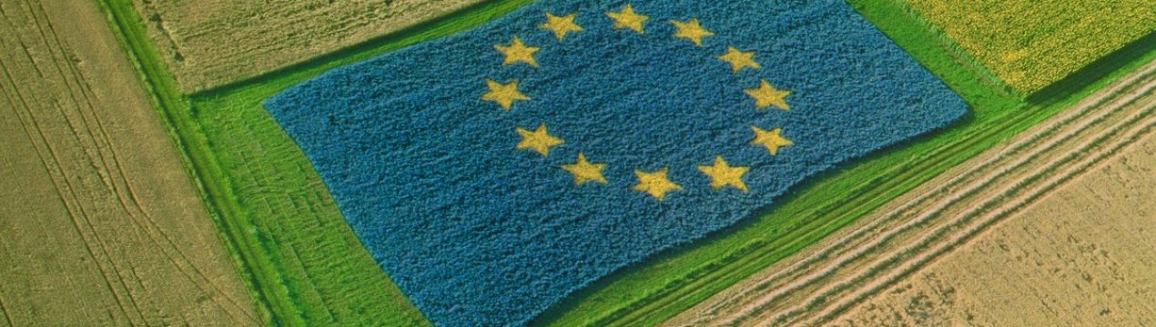 Президент Франції виступив за «переосмислення» сільськогосподарської політики Євросоюзу