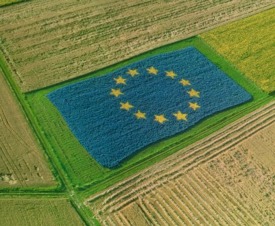 Президент Франції виступив за «переосмислення» сільськогосподарської політики Євросоюзу