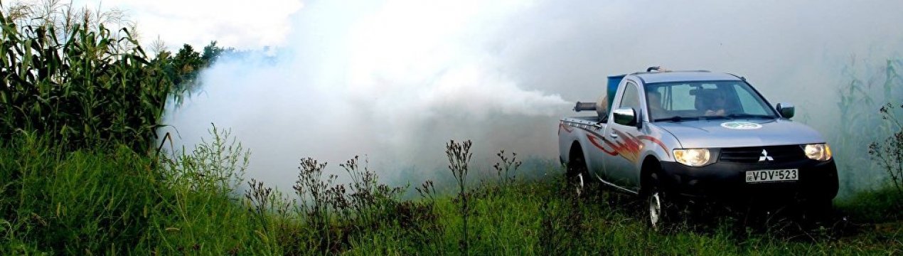 Грузія посилює боротьбу з мармуровим клопом