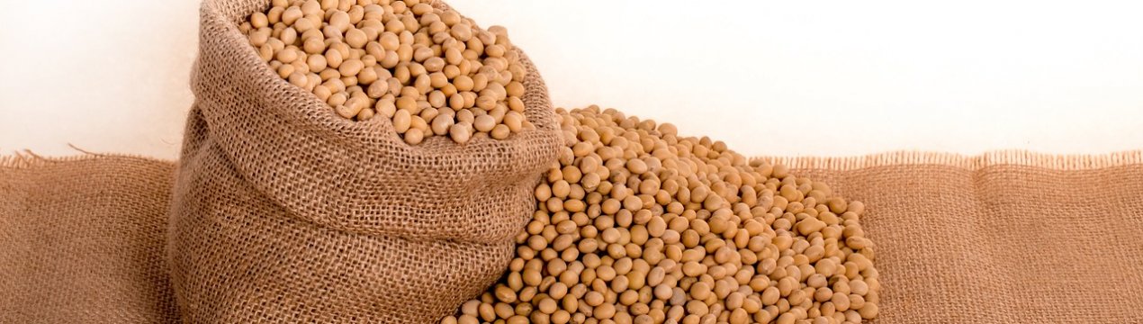 У Бразилії можливо рекордне падіння запасів сої