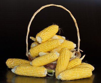 Кукурудзяний крохмаль потіснить картопляний на ринках України