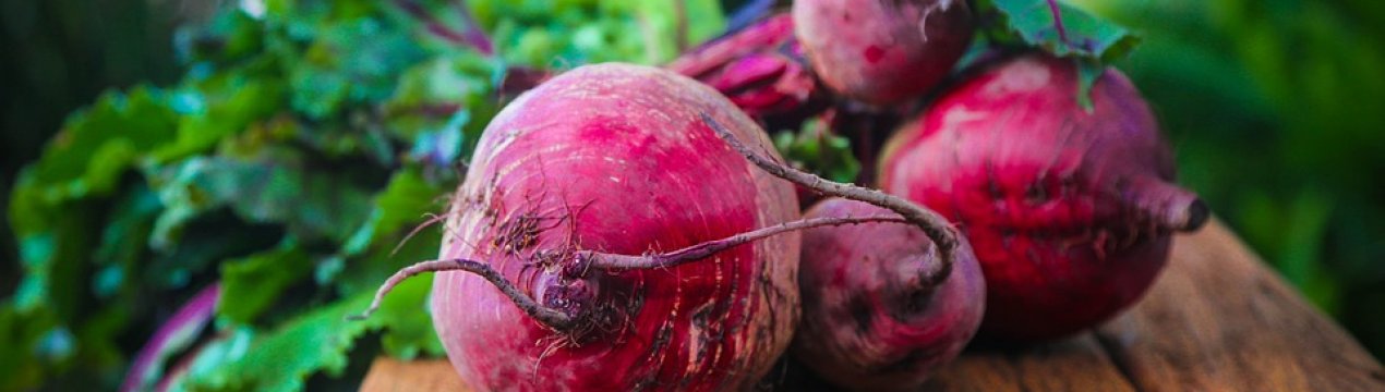 В Україні дешевшає столовий буряк