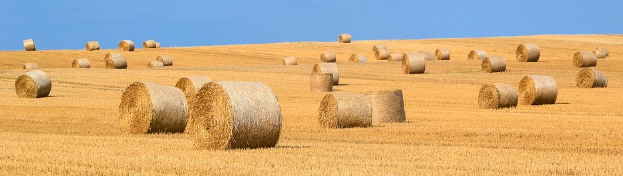 У Донецькій області з'явився завод по переробці соломи в біопаливо