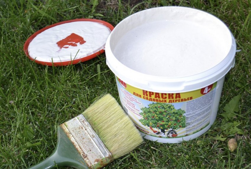 Фарба для захисту дерев Фарба для захисту дерев