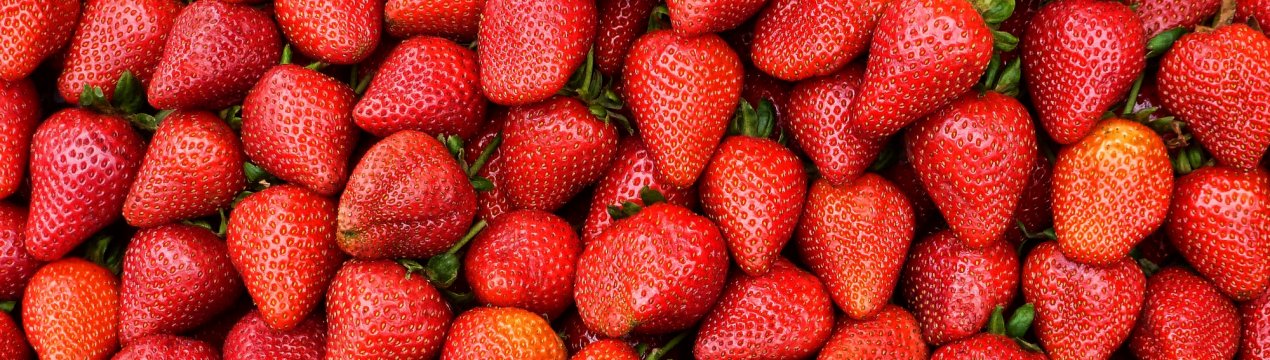 Британці будують в Дагестані гігантський «пологовий будинок» для полуниці