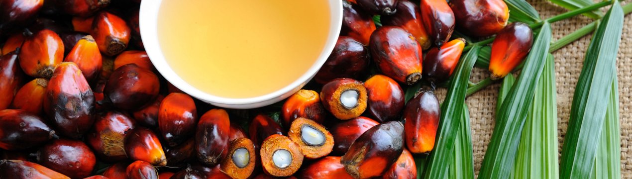 Росія закуповує все більше шкідливого пальмової олії
