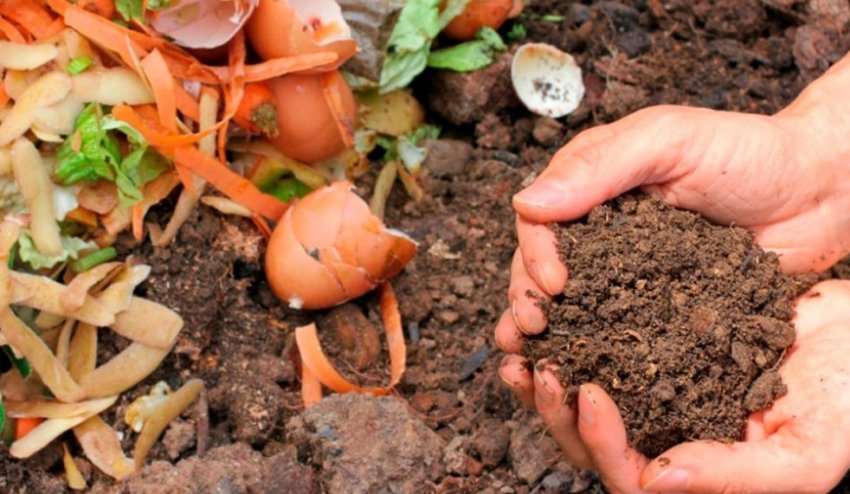 Органическое удобрение - компост