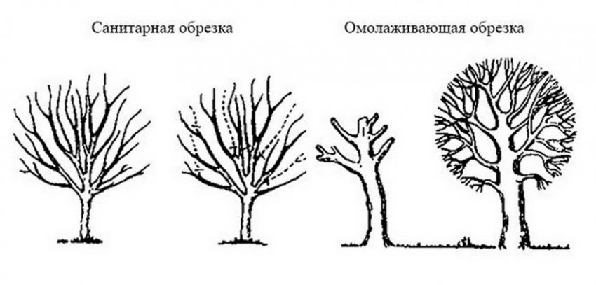 50936.pnjeao.850