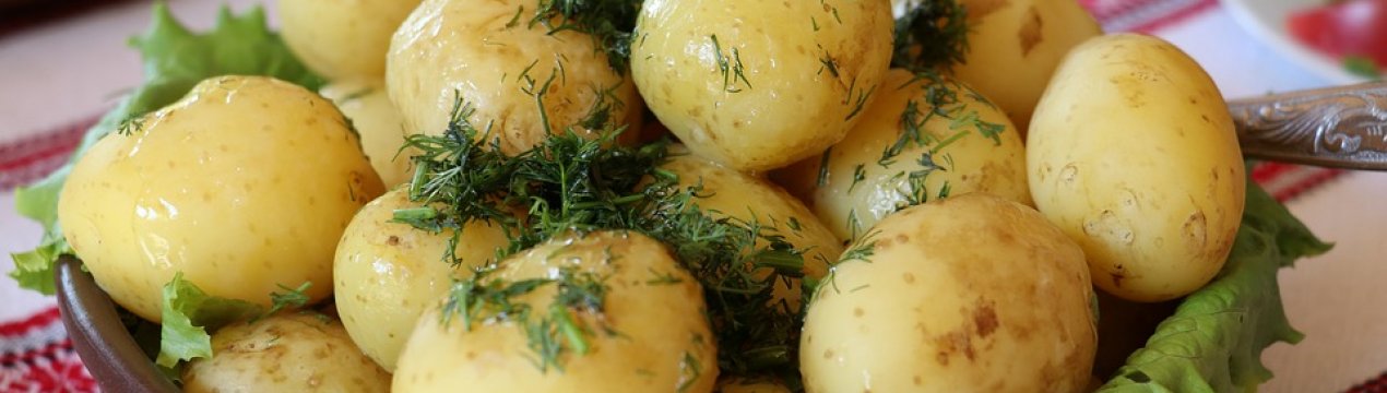В Україні з'явився зарубіжний молода картопля