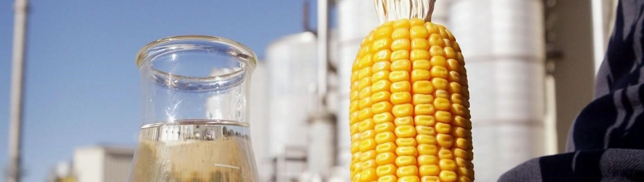 У Бразилії стрімко зростає виробництво етанолу з кукурудзи