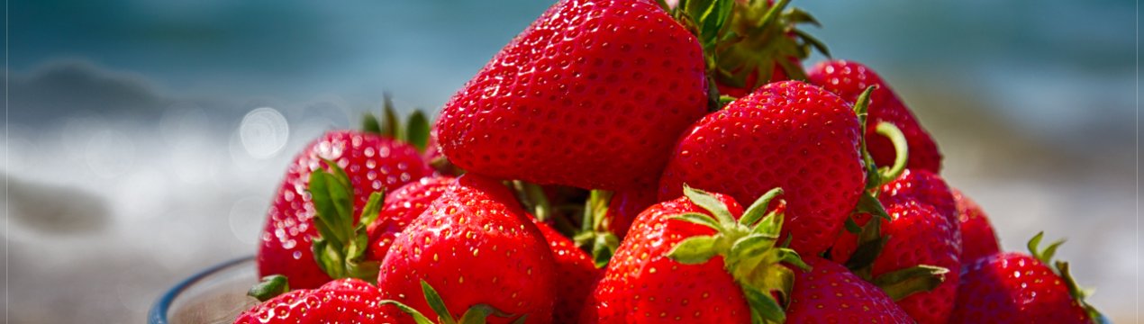 Туреччина впевнено нарощує експорт полуниці