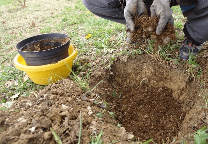 Збагачення грунту Збагачення грунту