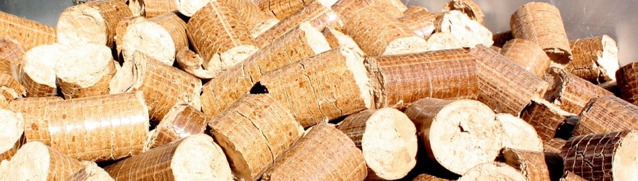 В Україні постійно дорожчає сировина для виробництва біопалива