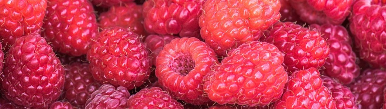 Україна буде продавати фрукти, гриби і овочі в країни Африки, Азії і Близького Сходу