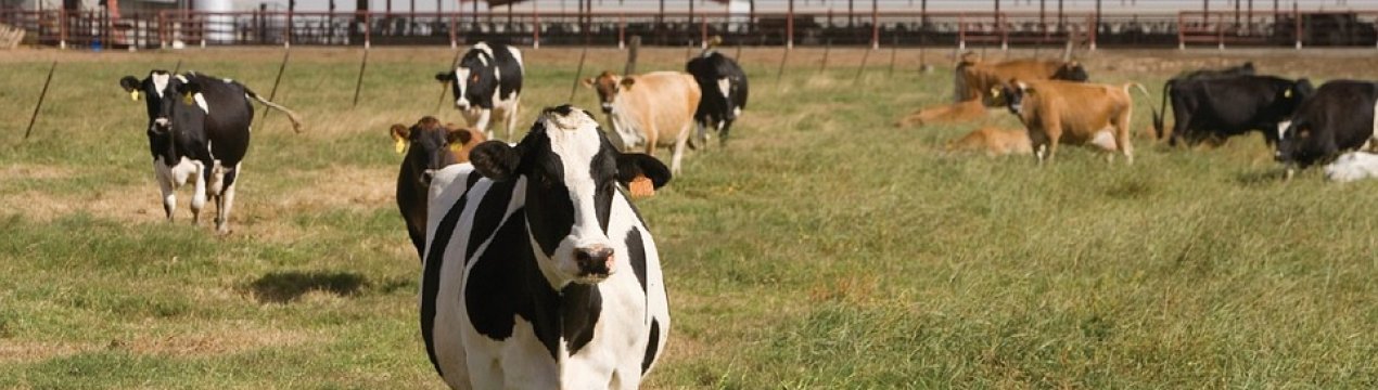 Луганські фермери переймають досвід львівських колег