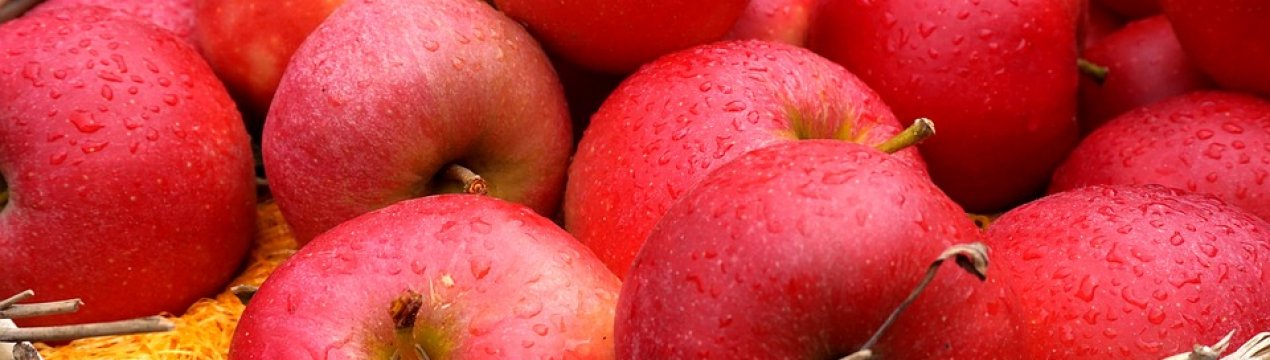 В Україні стрімко дешевшають яблука