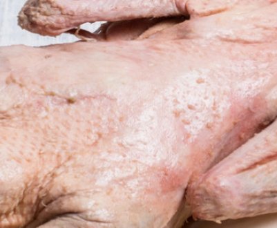 Як правильно і швидко обробити на порційні шматки гусака