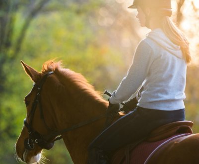 Як навчитися правильно їздити верхи на коні