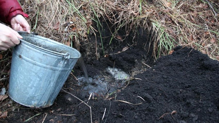 Підготовка ями під посадку яблуні