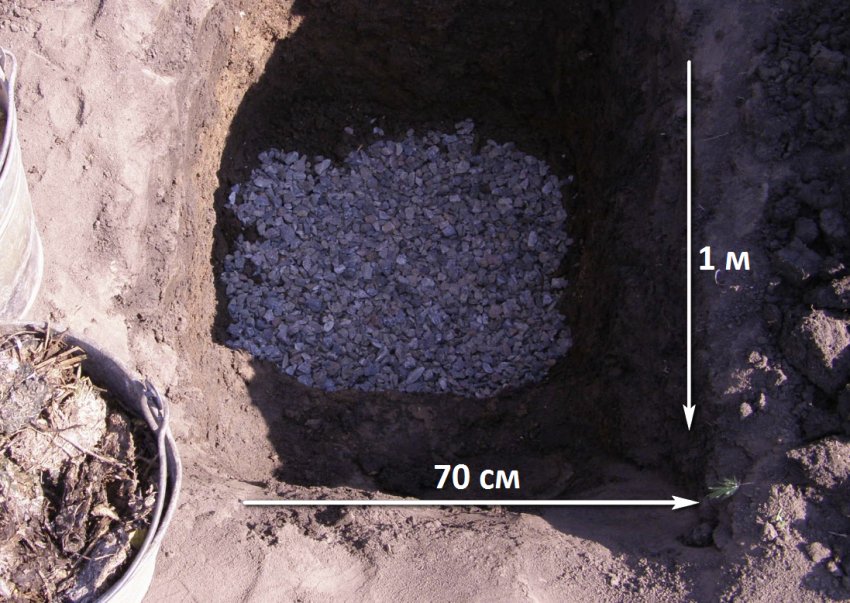 Посадкова яма для яблуні