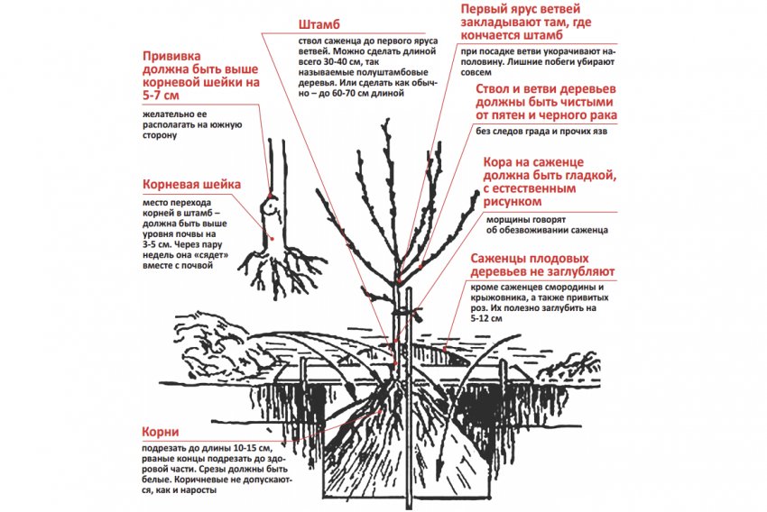 Алгоритм посадки