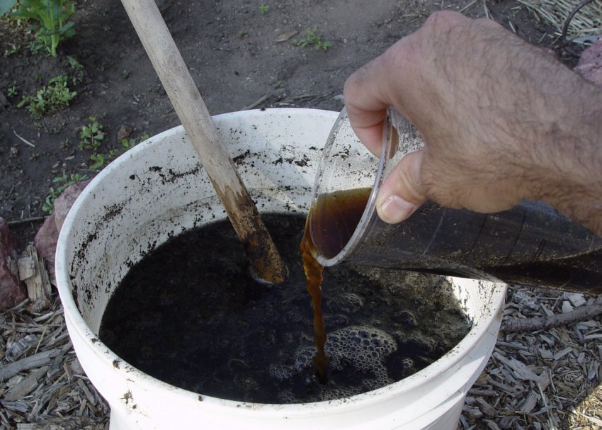 Добриво для вишні