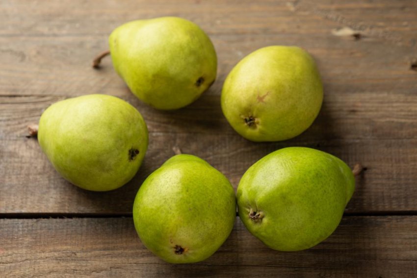 Груші Бере Люка