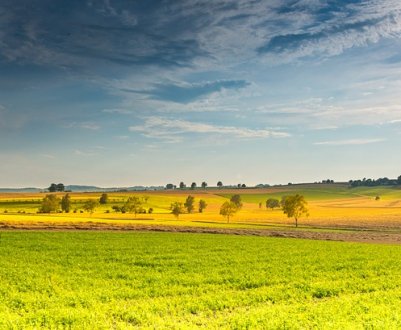 Вінницька область нарощує посівні площі під соєю та кукурудзою