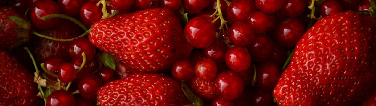 На роботу в село: «ягідна столиця» Вінницької області пропонує працевлаштування