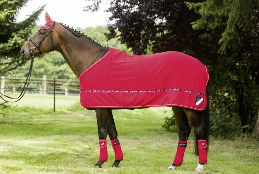 Попона Попона