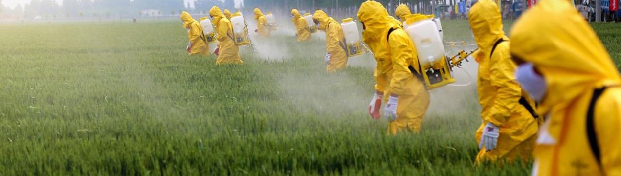 У Бразилії вирішили не відмовлятися від гліфосату