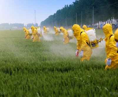 У Бразилії вирішили не відмовлятися від гліфосату