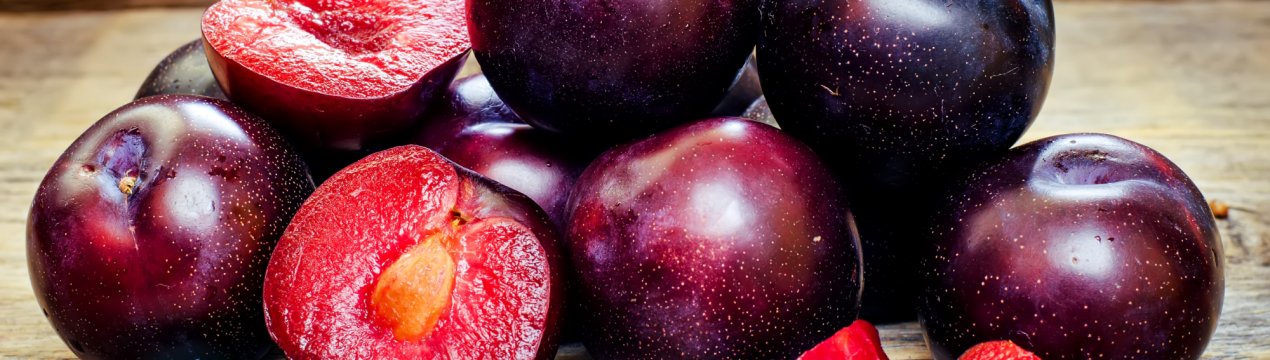 Опис і характеристика сливи