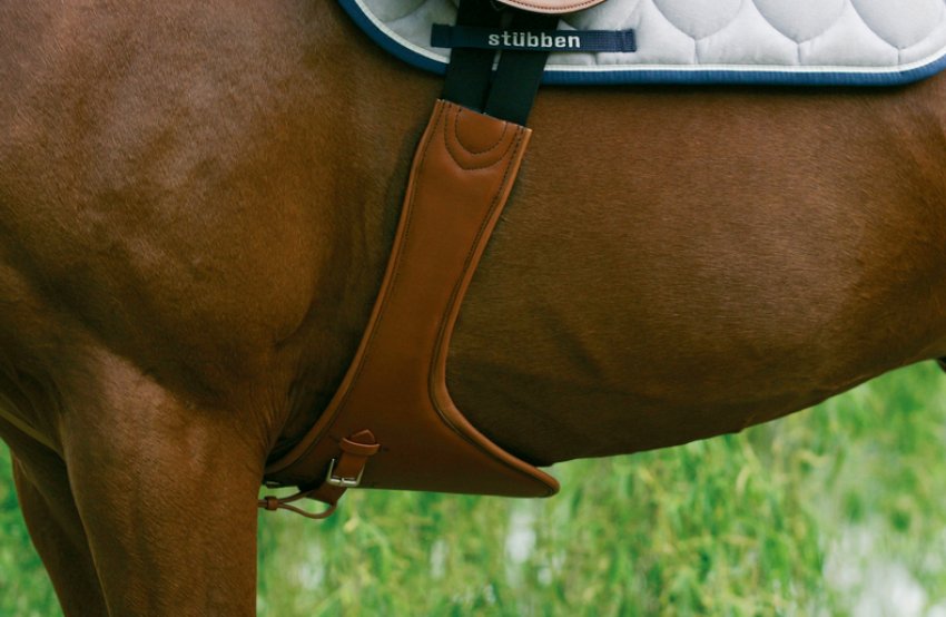 Підпруга Підпруга